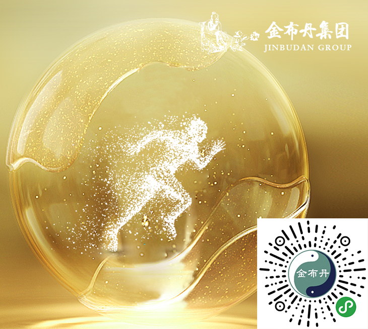 金布丹國(guó)際電子有限公司—小程序